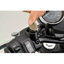 Mirror Plug Bolt