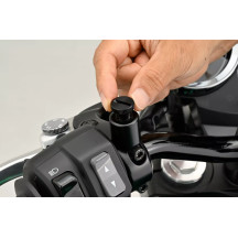 Mirror Plug Bolt