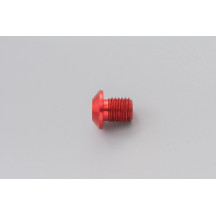 Mirror Plug Bolt