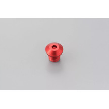 Mirror Plug Bolt