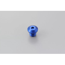 Mirror Plug Bolt