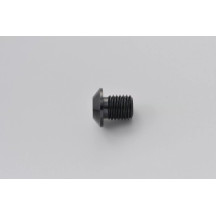 Mirror Plug Bolt