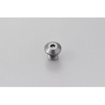 Mirror Plug Bolt