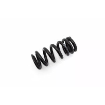 Shock Spring