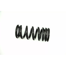 Rear Shock Spring Kit — Rear mounting