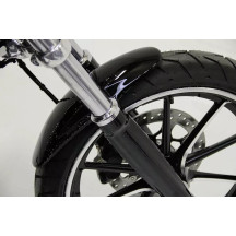 Front Fender Custom