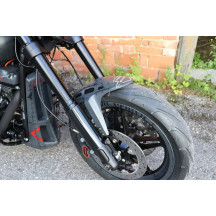 Front Fender Custom