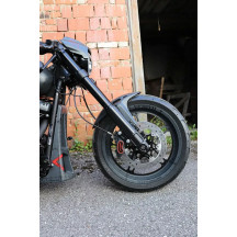 Front Fender Custom