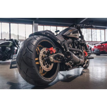 Rear Conversion Kit Race