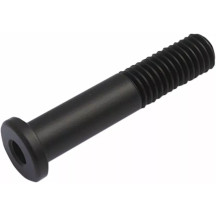 Tornillo de Montaje Atto ®