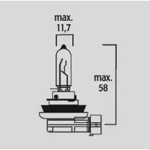 Halogen Headlight Bulbs
