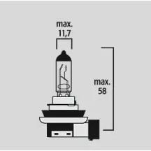 Halogen Headlight Bulbs