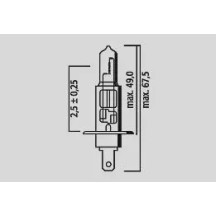 Halogen Headlight Bulbs