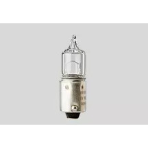 Filament Bulbs