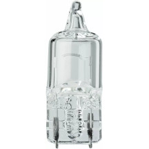 Filament Glass Wedge Bulbs