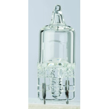 Filament Glass Wedge Bulbs