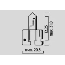 Halogen Bulbs