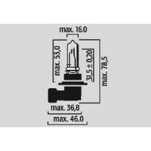 Halogen Headlight Bulbs