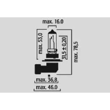 Halogen Headlight Bulbs