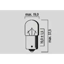 Filament Bulbs