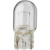 Filament Glass Wedge Bulbs