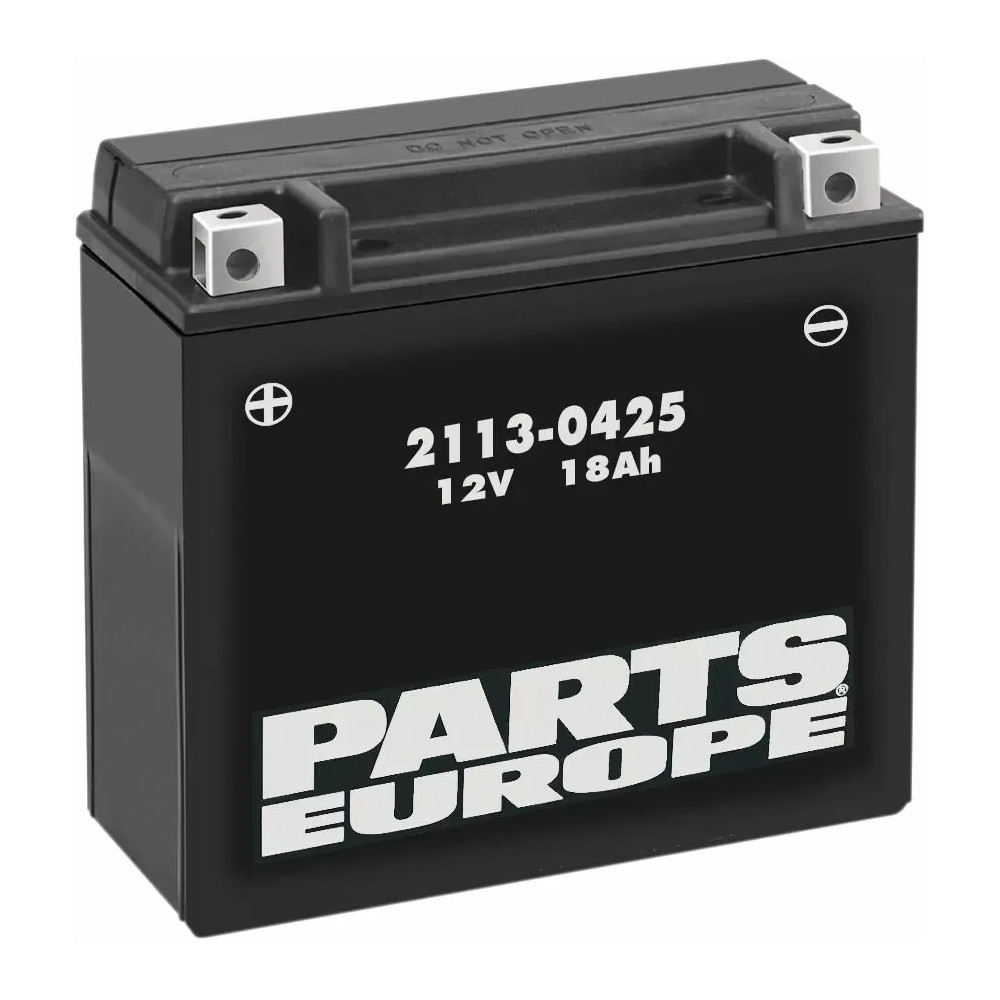 High Performance AGM Maintenance-Free Battery