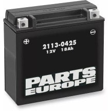 High Performance AGM Maintenance-Free Battery