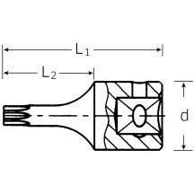 Socket