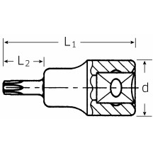 Socket