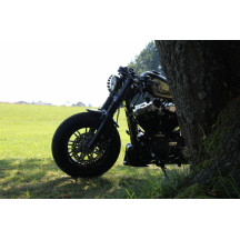 Headlight Grill