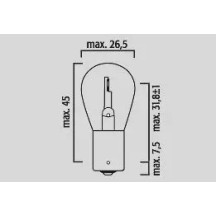 Filament Bulbs