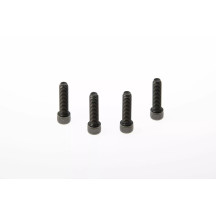 Fender Screws