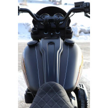 Dash Cover for Harley