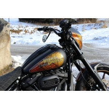 Dash Cover for Harley