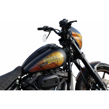 Dash Cover for Harley