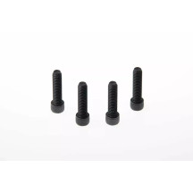 Fork Triple Clamp Screws