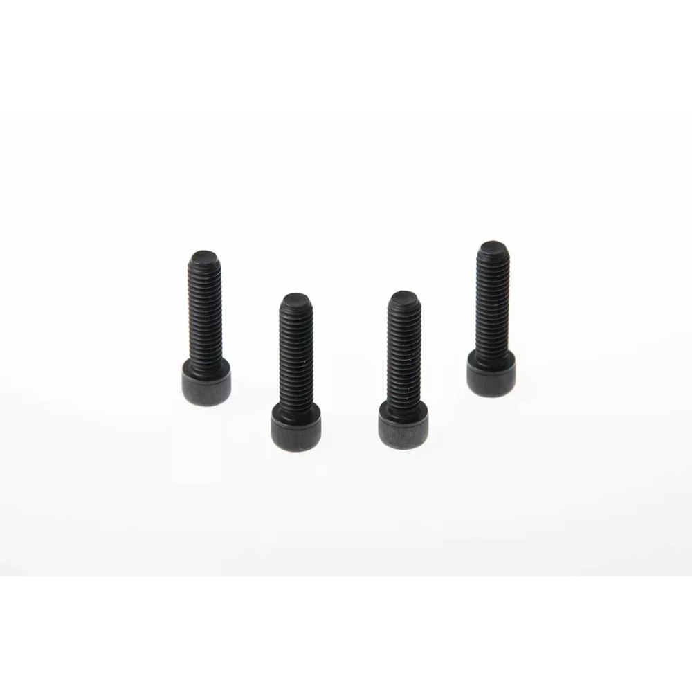 Fork Triple Clamp Screws