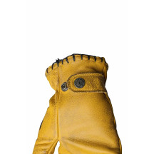 Coyote Gloves