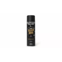 Silicon Shine