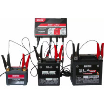 SMART Bank Battery Charger and Maintainer with Reconditioning Function