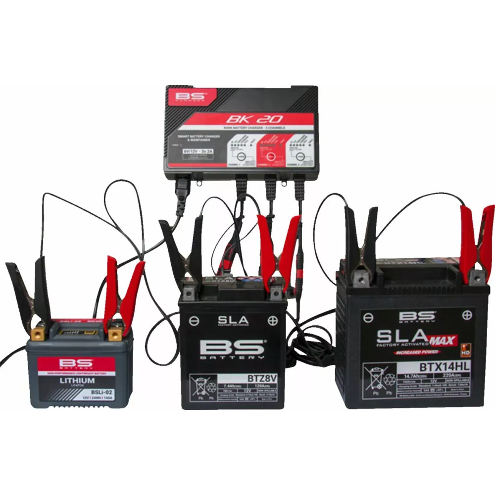 SMART Bank Battery Charger and Maintainer with Reconditioning Function