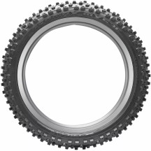 Geomax MX53 Neumático — 60/100-10, llanta 10 pulg., delantero