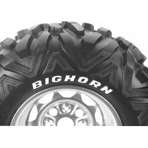 Neumático Bighorn M917/M918