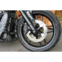 Fender Screws