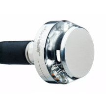 Mo-Blaze Disc Turn Signals — anodized black, polished finish