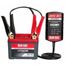 CARGADOR DE BATERÍA BS10 6V/12V-1A - Enchufe del Reino Unido