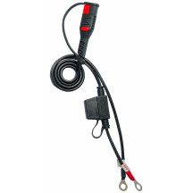 CARGADOR DE BATERÍA BS10 6V/12V-1A - Enchufe del Reino Unido
