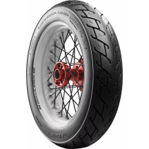AM20/AM21 Tire