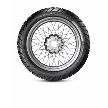 Karoo Street Tire