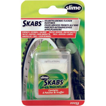 Skabs